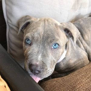 Meet your Posher, Mah